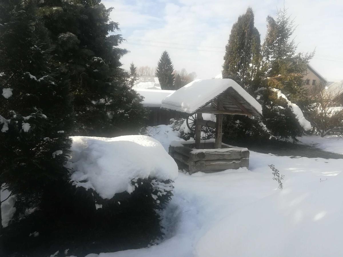 Apartmány Dana Horni Branna Exterior foto